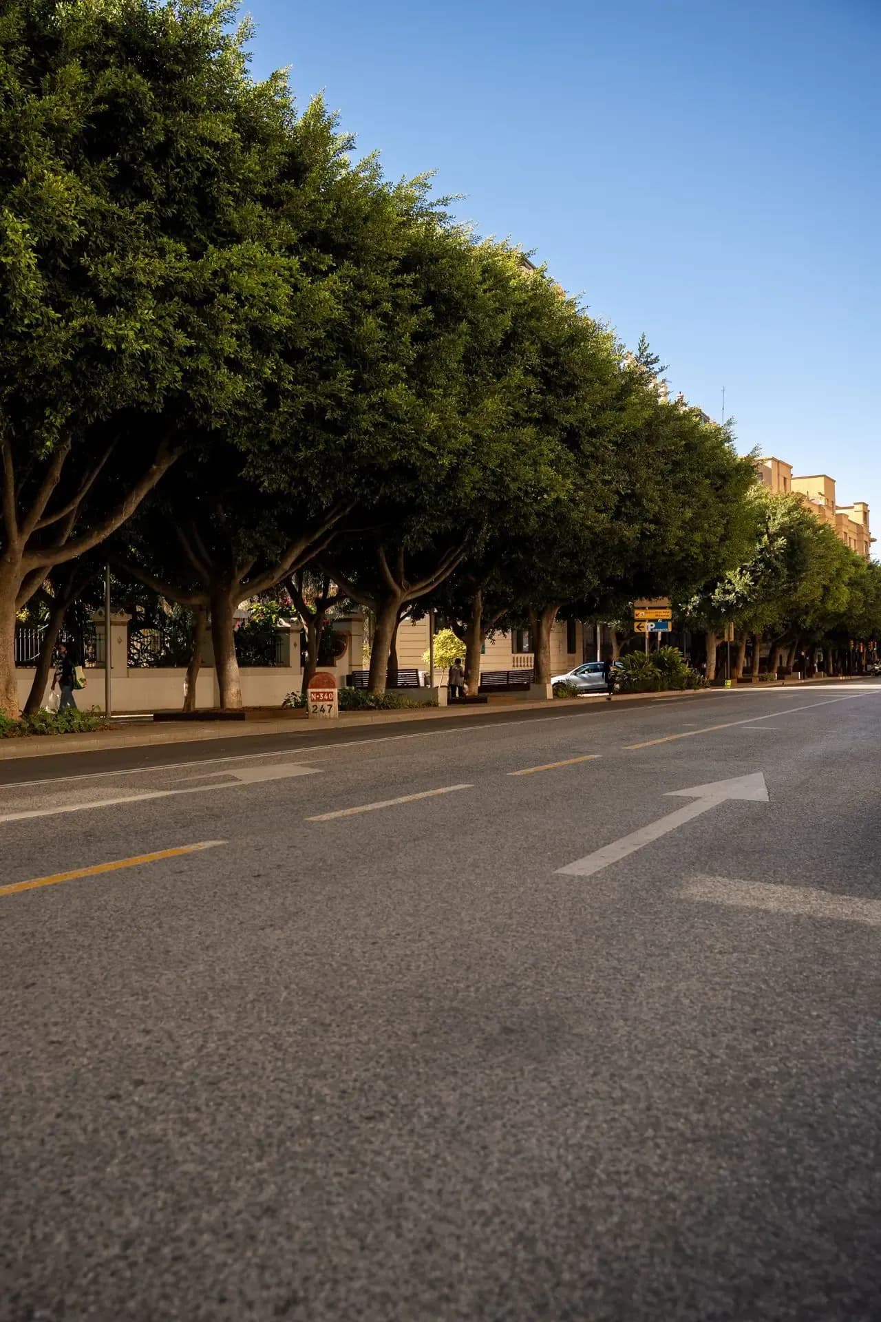 Avenida de Príes y Paseo de Reding