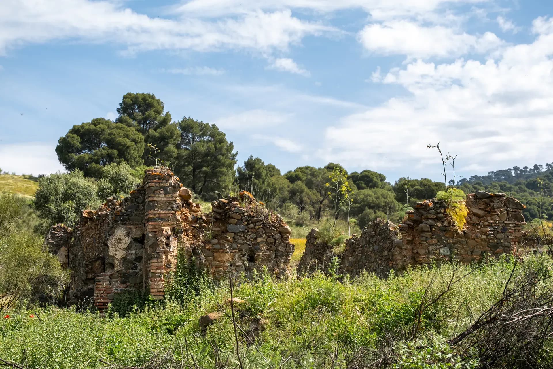Lagar de Chinchilla