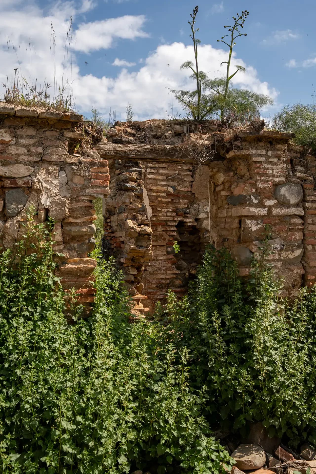 Lagar de Chinchilla