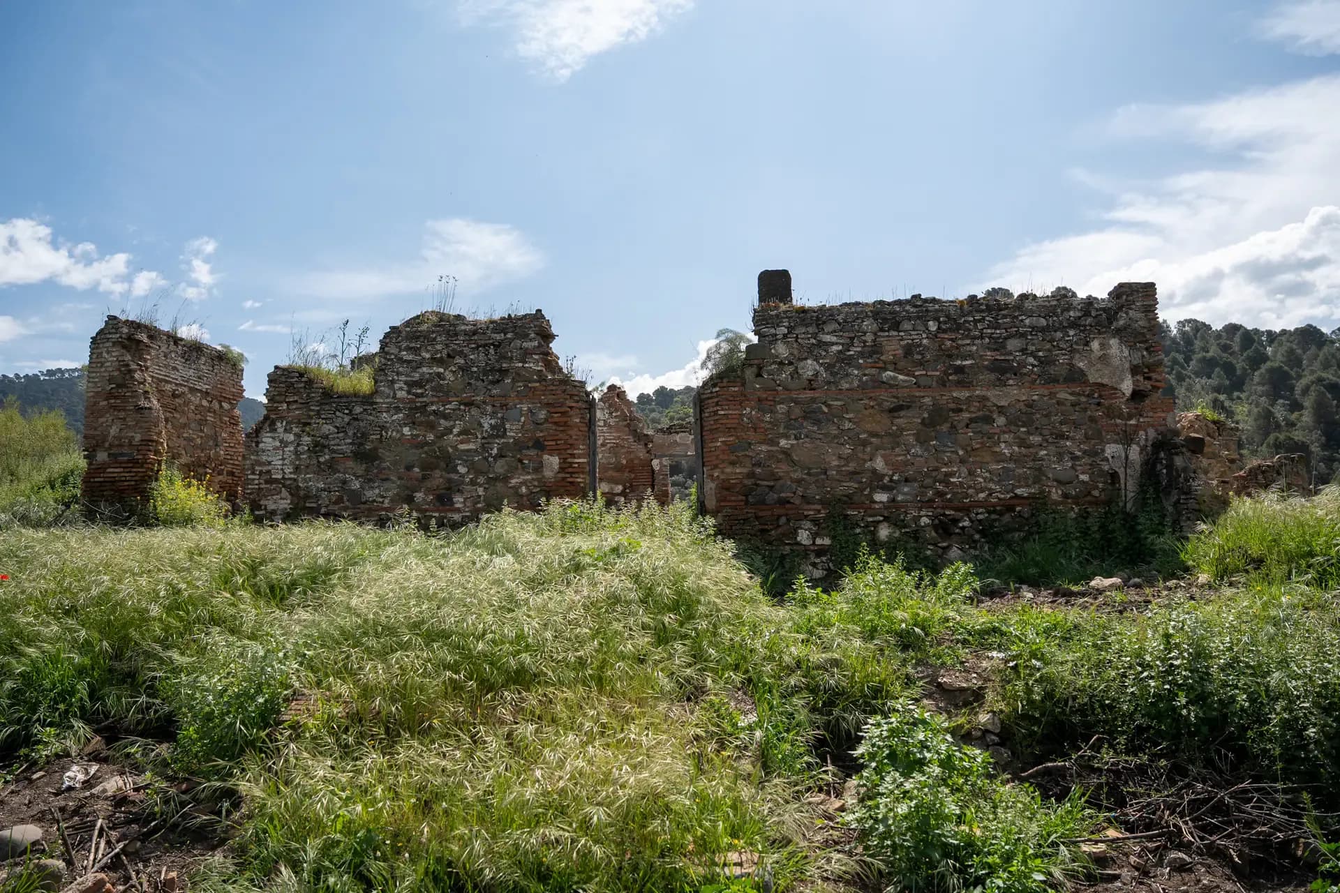 Lagar de Chinchilla
