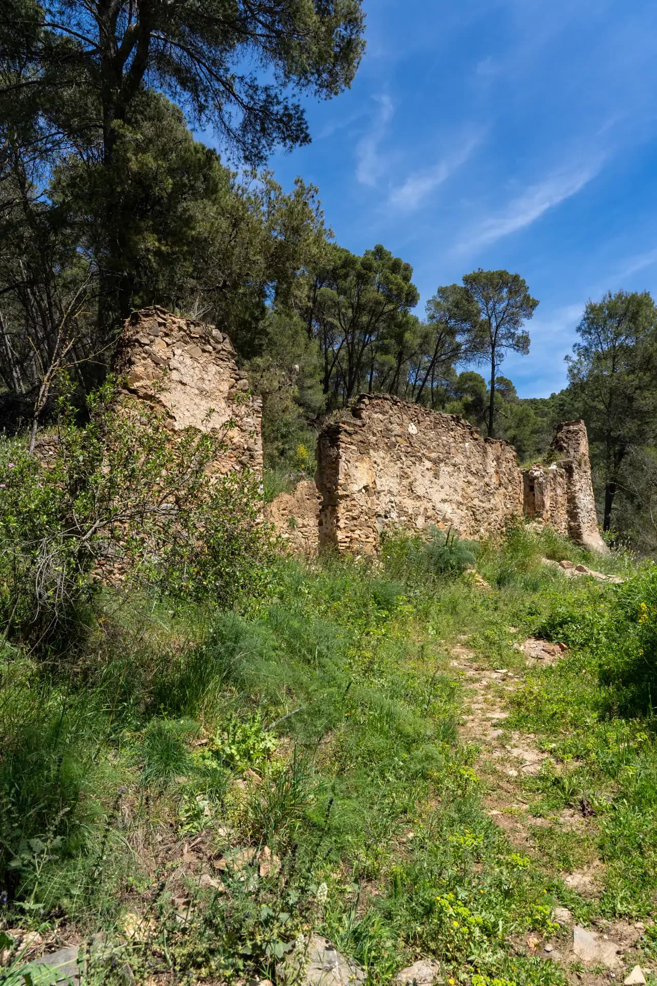 Lagar de Pacheco Bajo