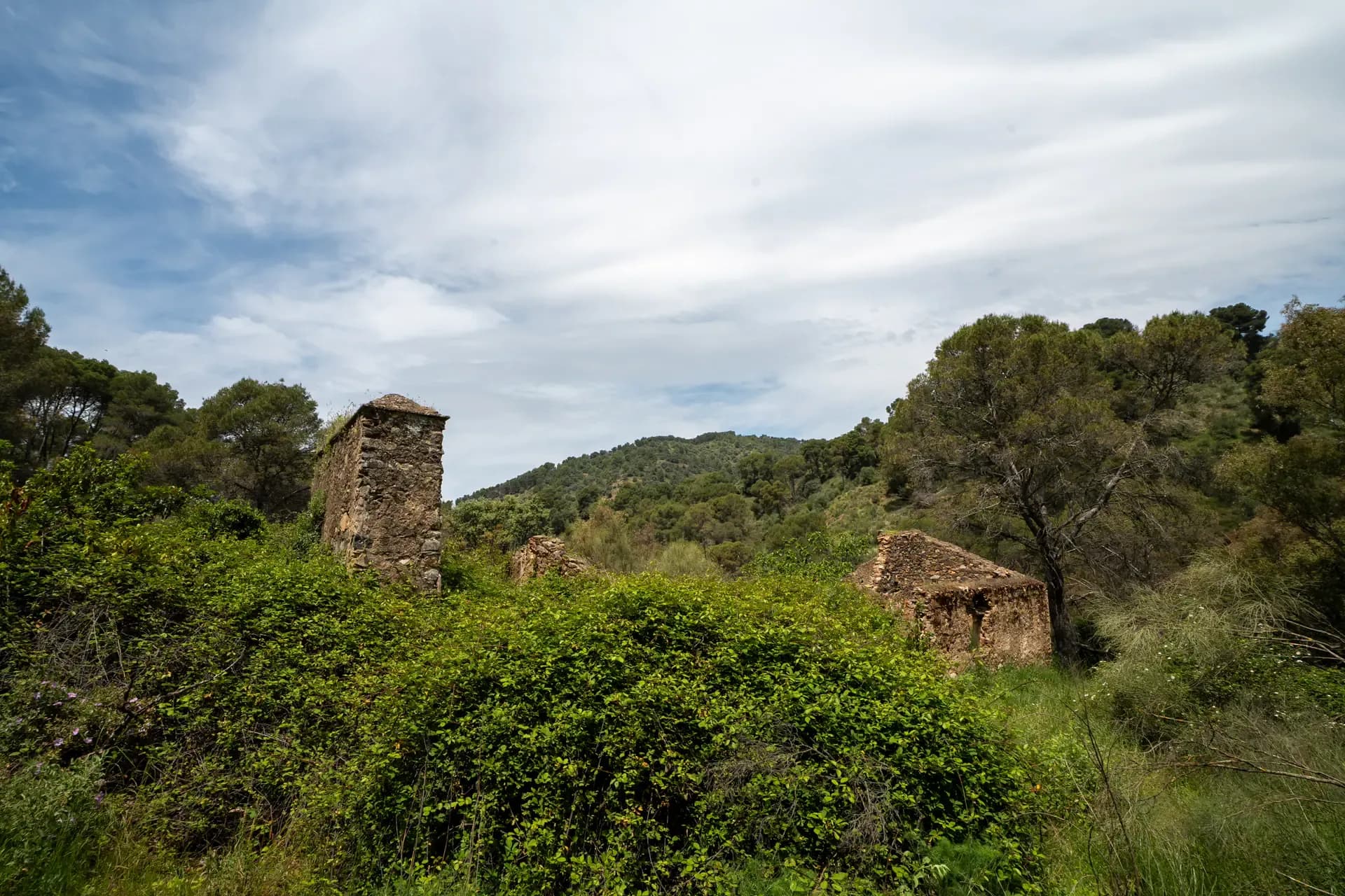 Lagar de La Molineta