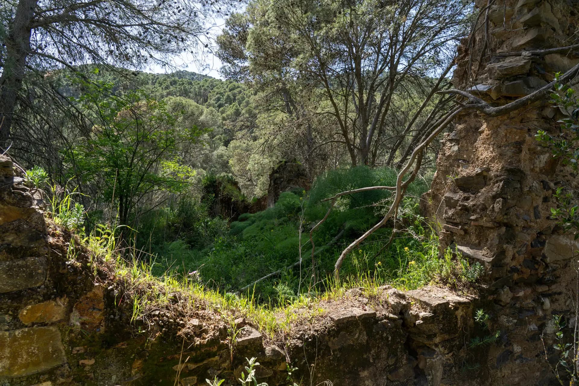 Lagar de Pacheco Bajo