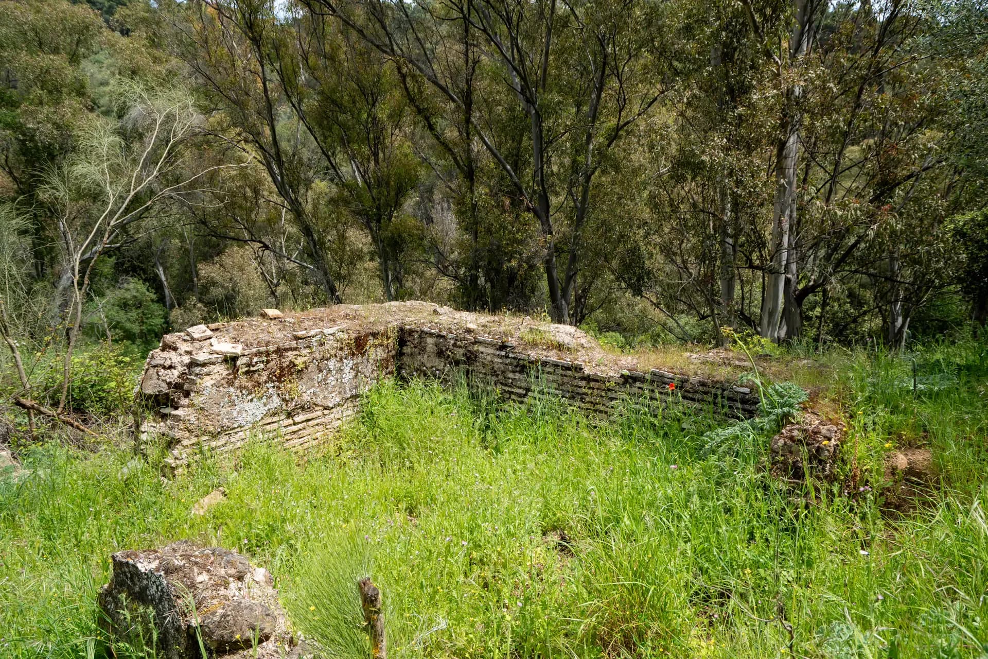 Lagar de La Molineta