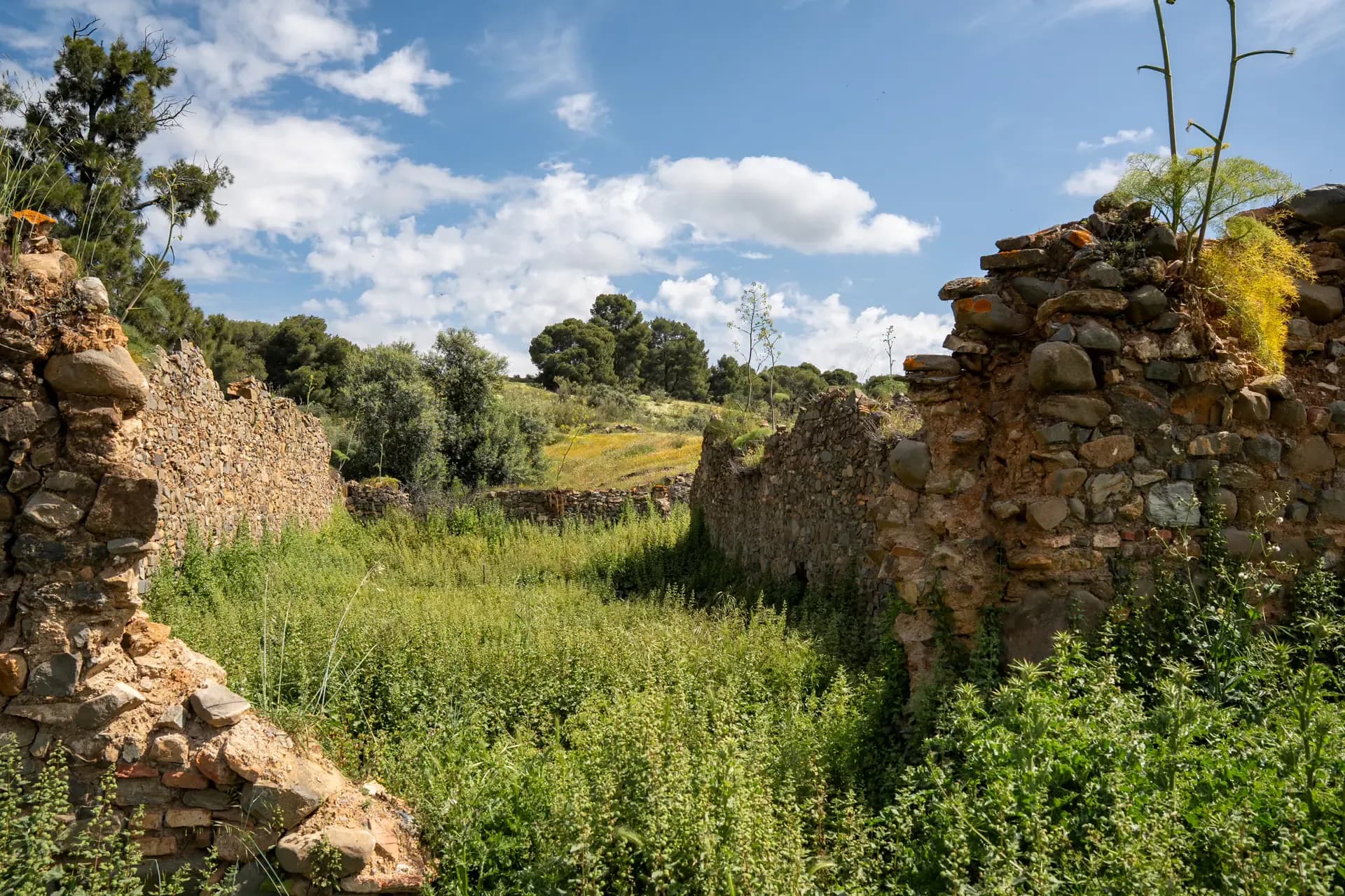 Lagar de Chinchilla