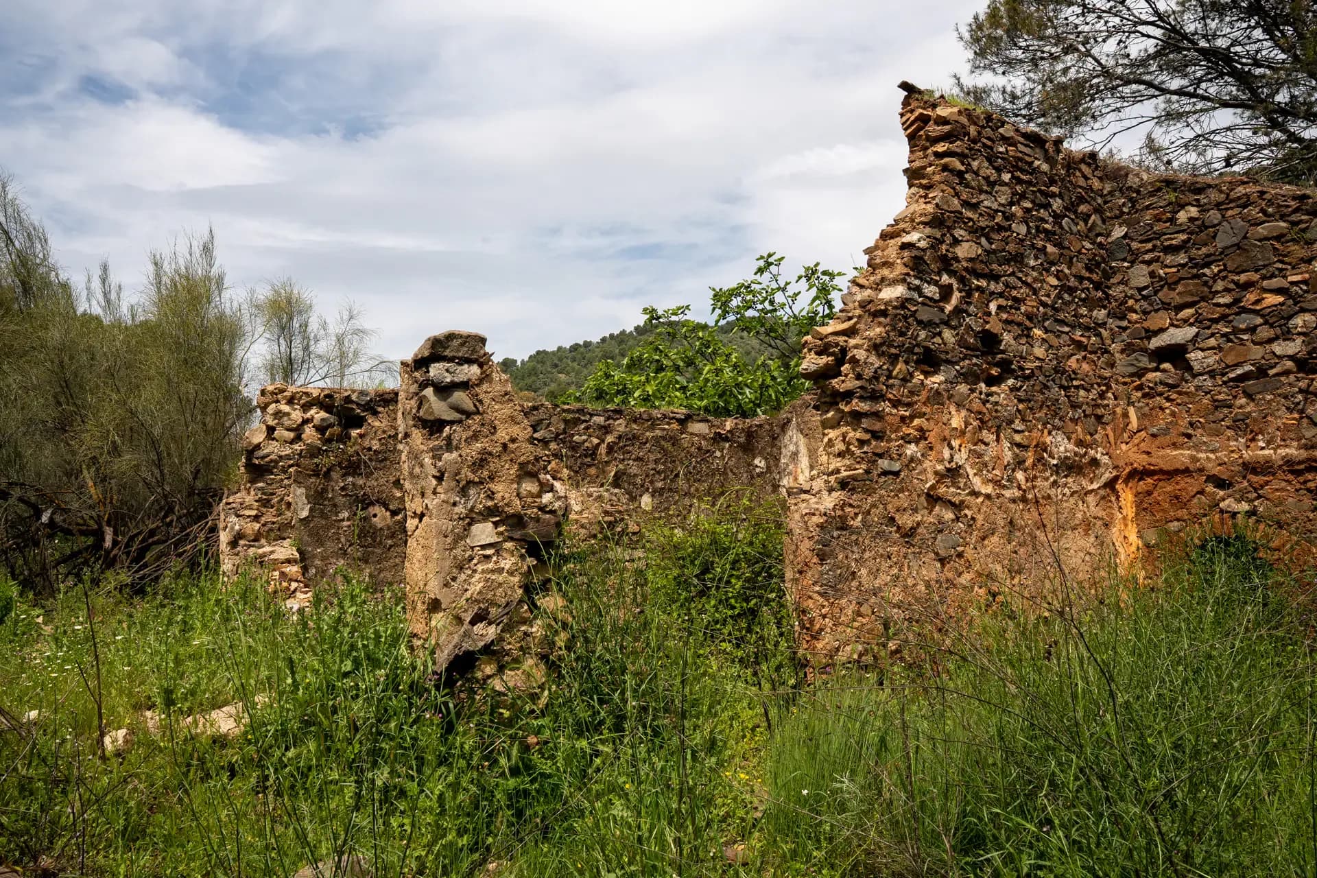 Lagar de La Molineta