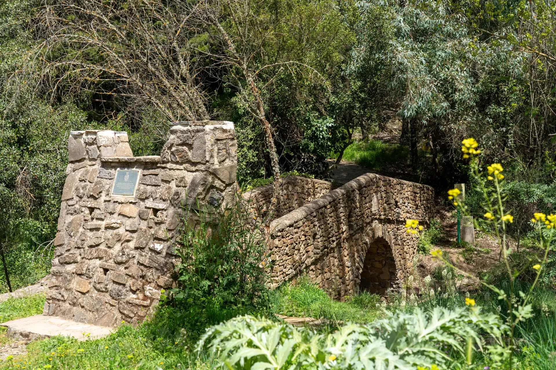 Lagar de Benefique