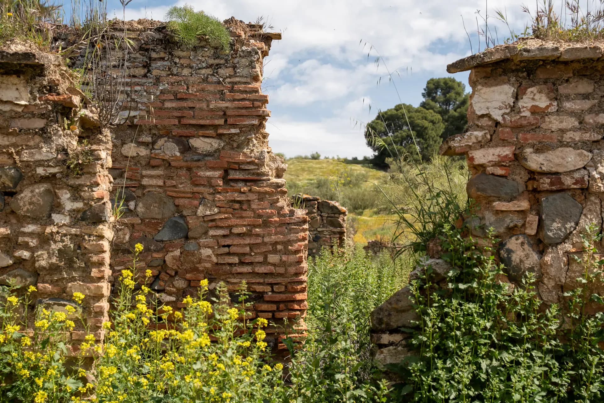 Lagar de Chinchilla