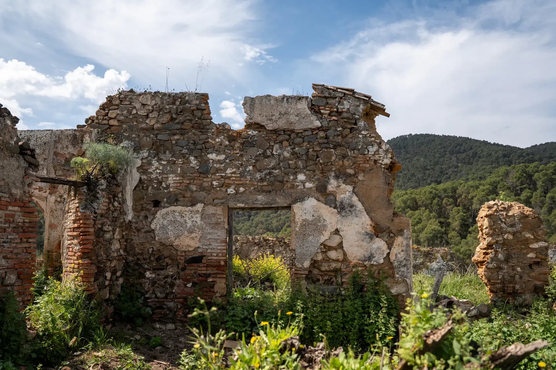 Lagar de Chinchilla