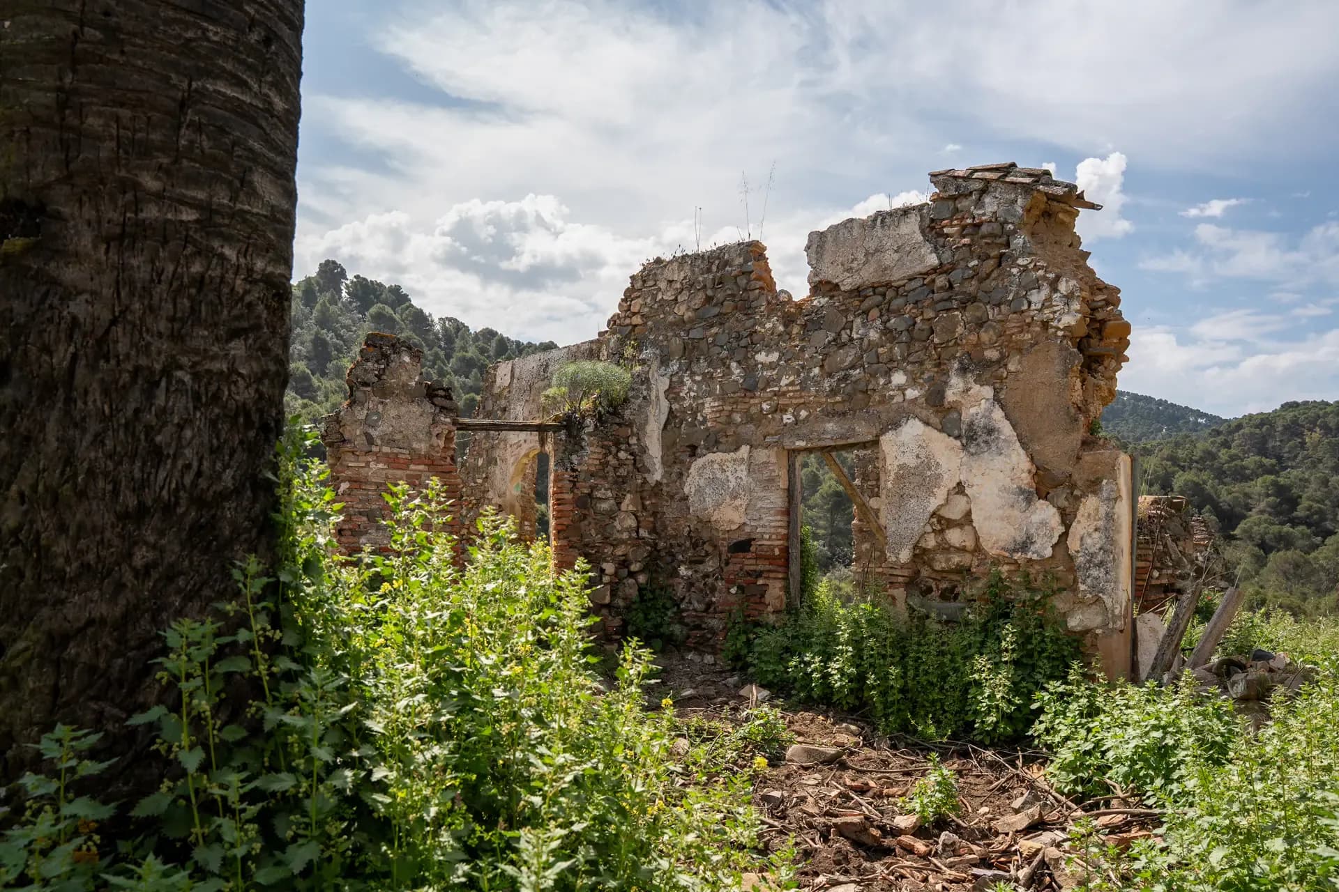 Lagar de Chinchilla