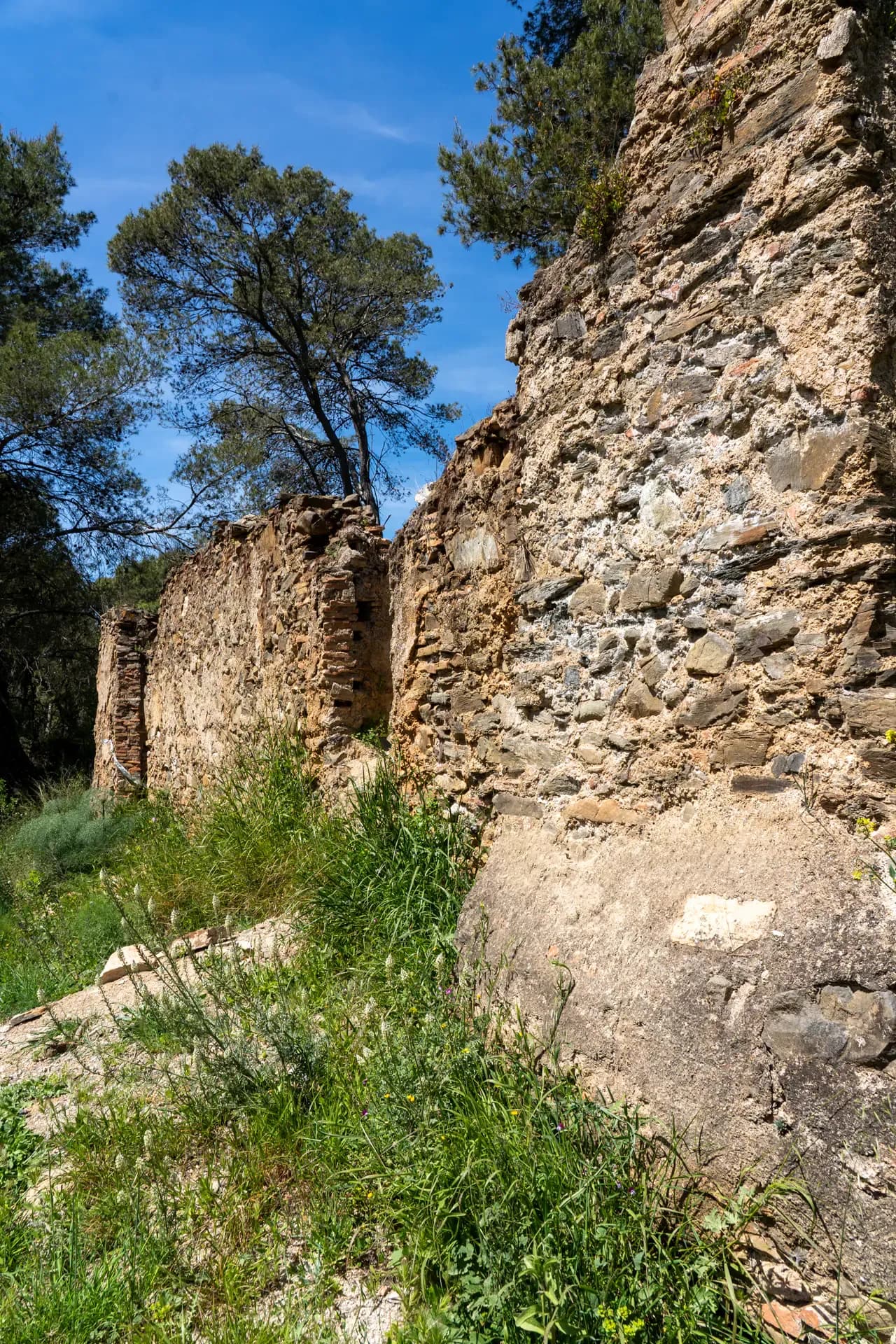 Lagar de Pacheco Bajo