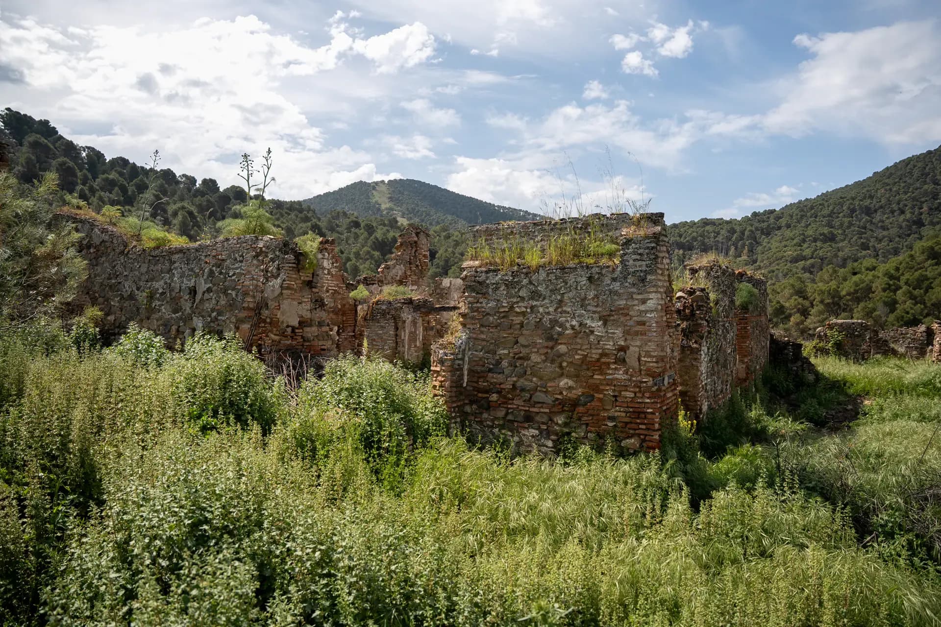 Lagar de Chinchilla