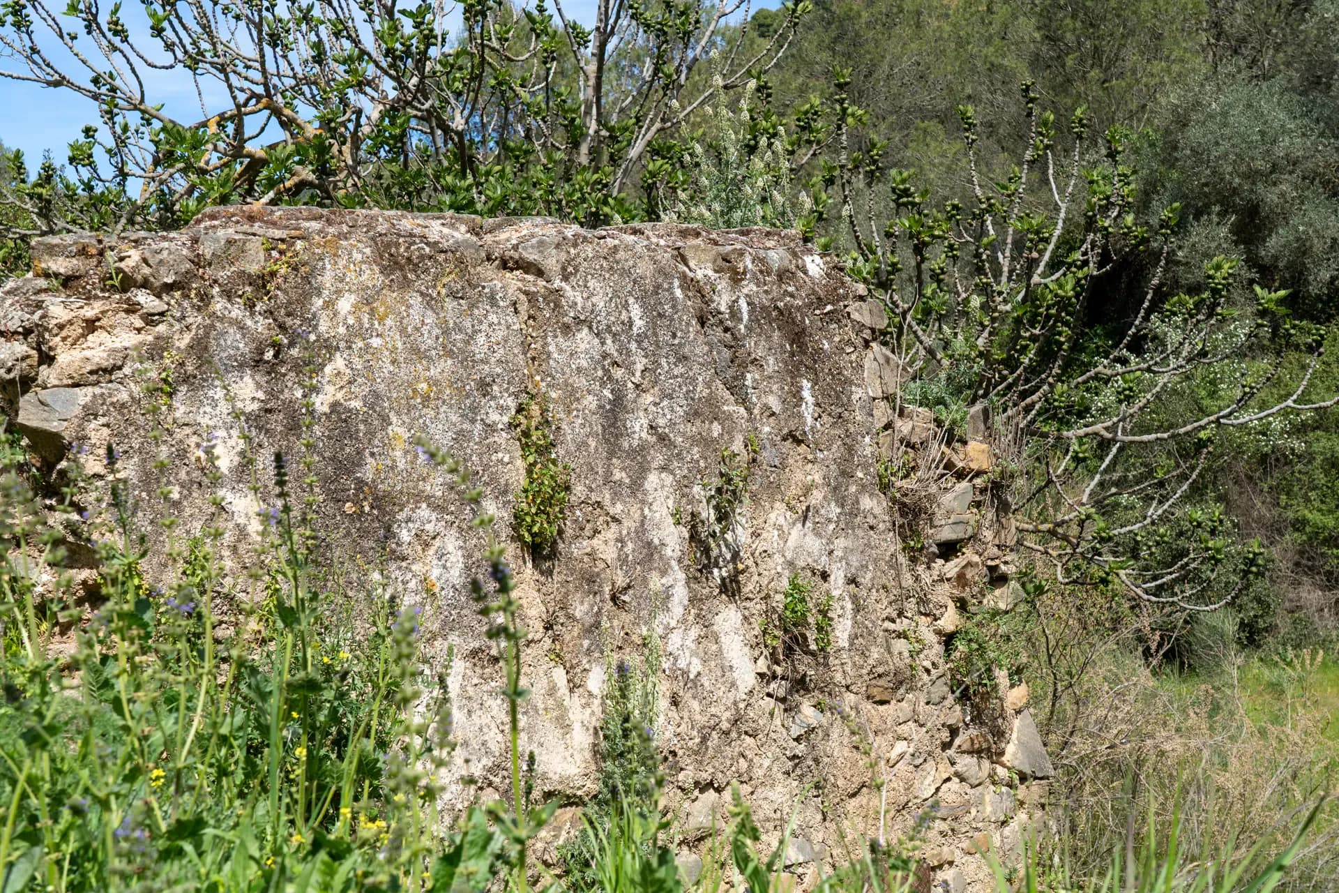 Lagar de Santillana
