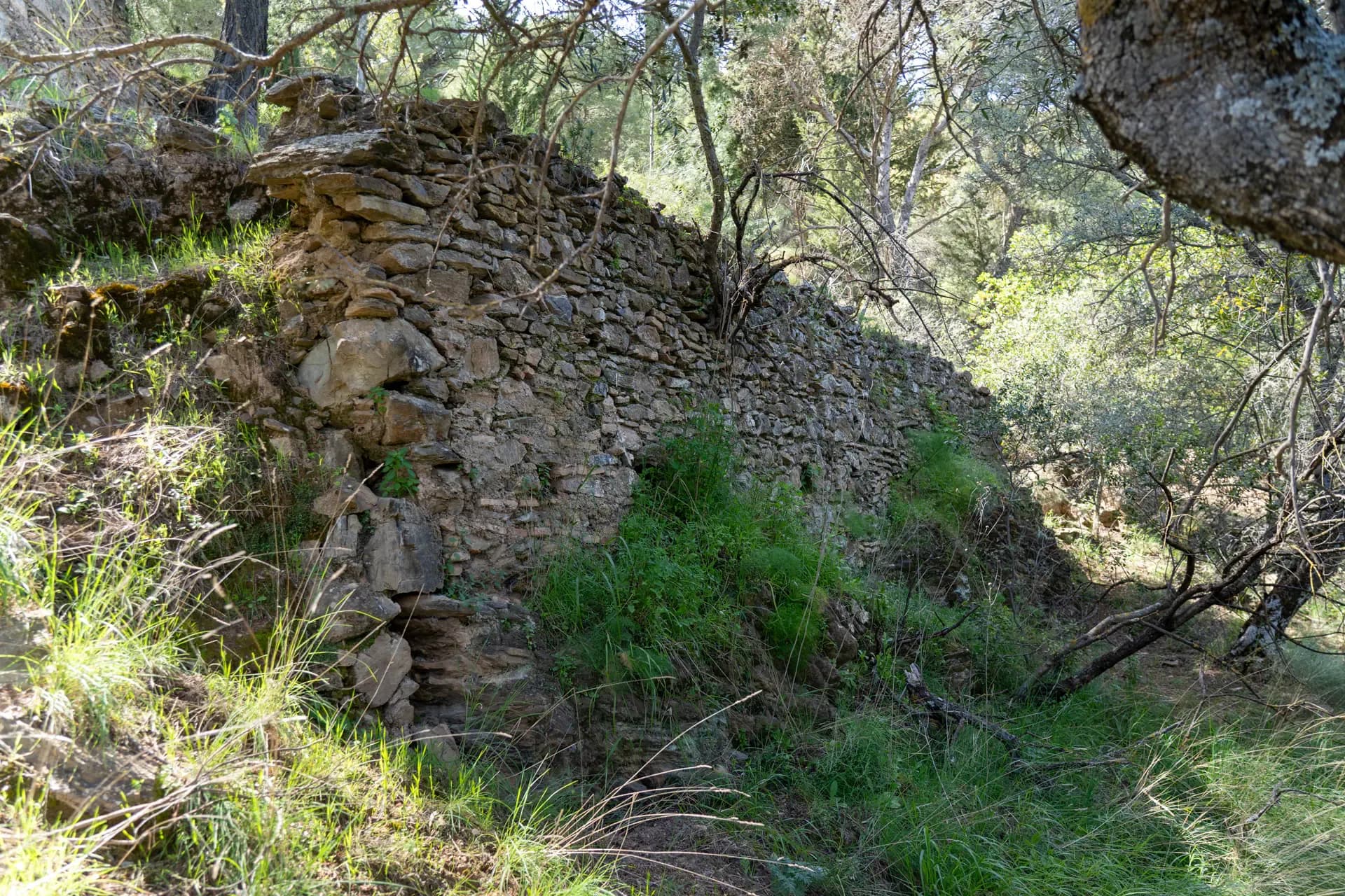 Lagar de La Africana
