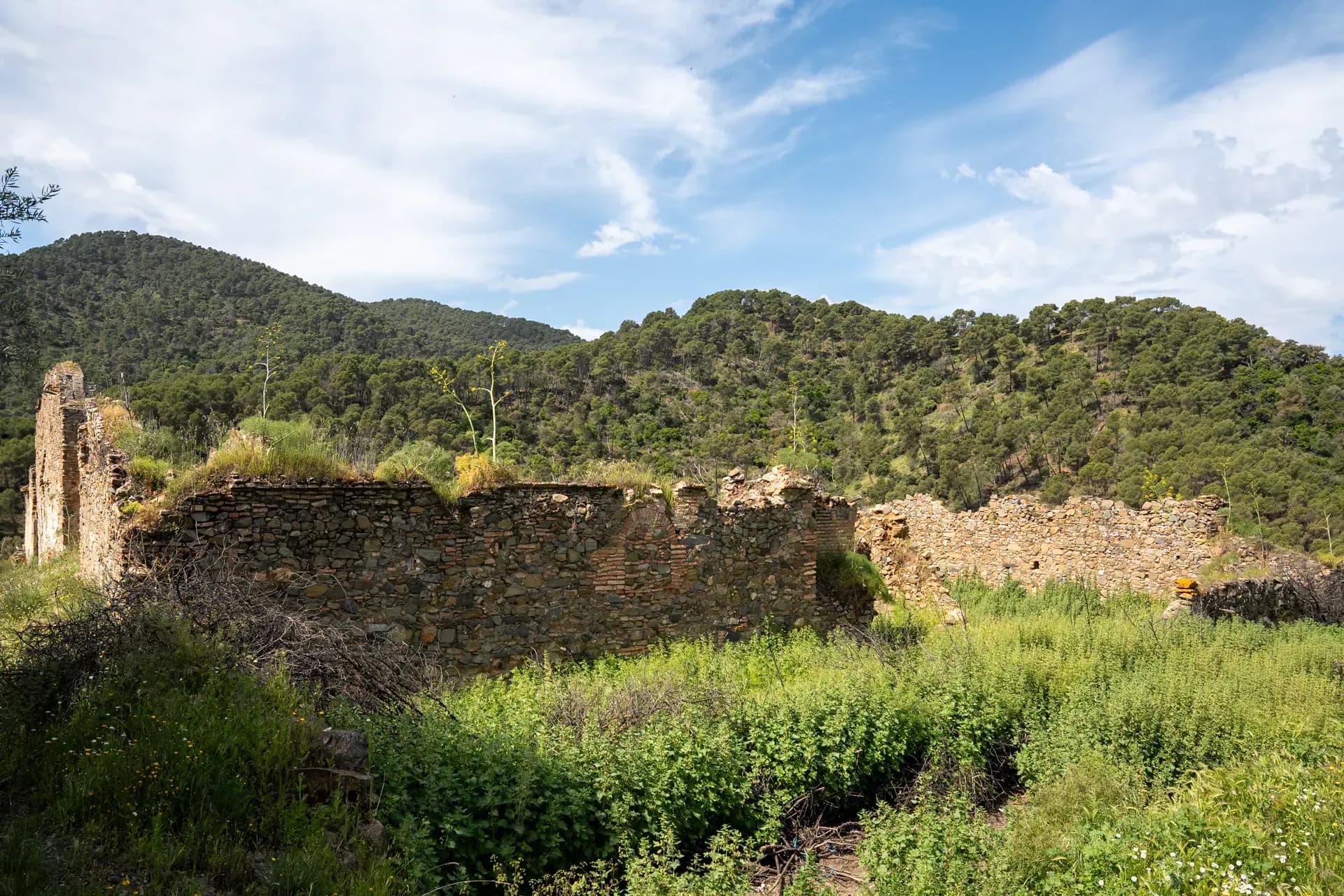 Lagar de Chinchilla