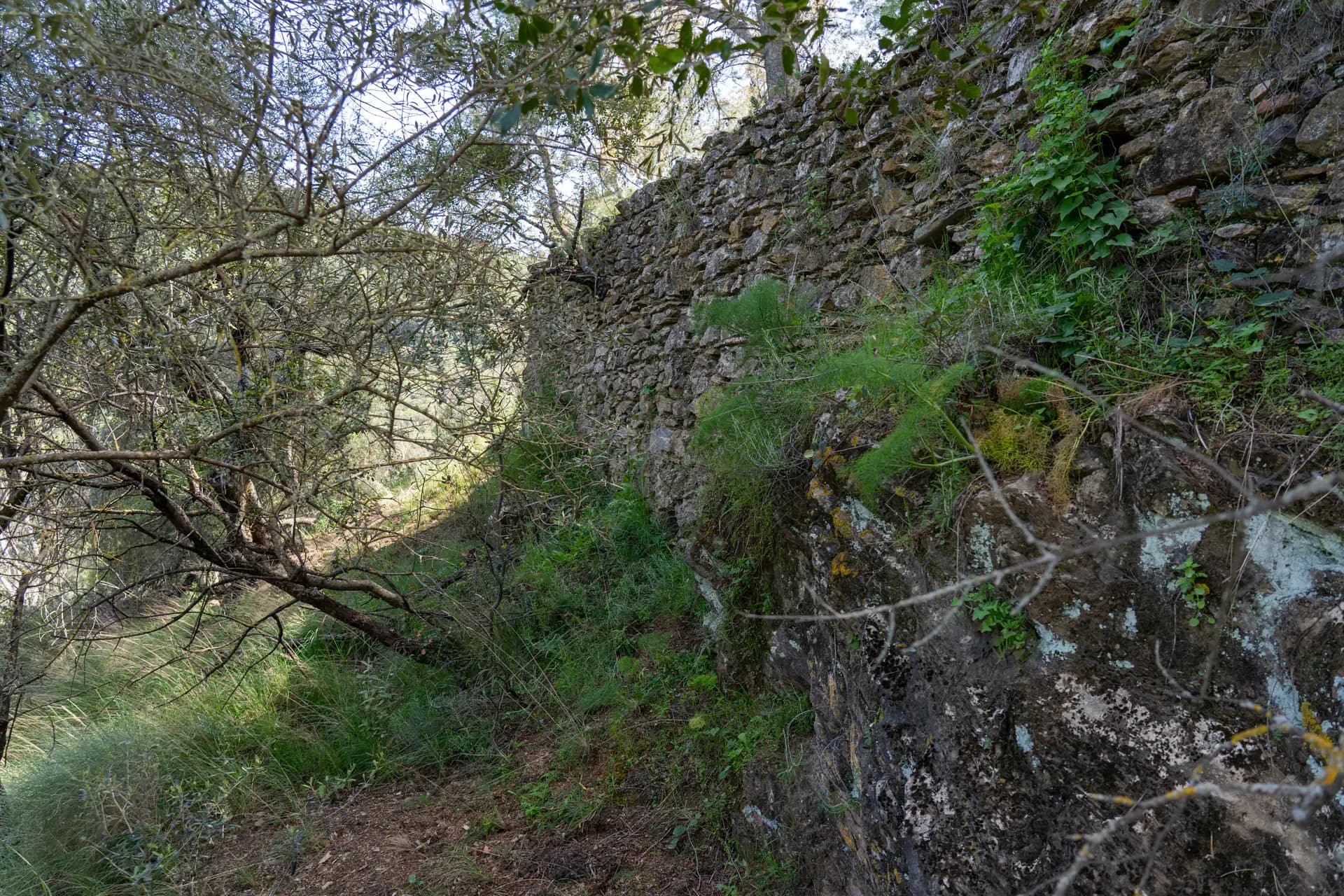 Lagar de La Africana