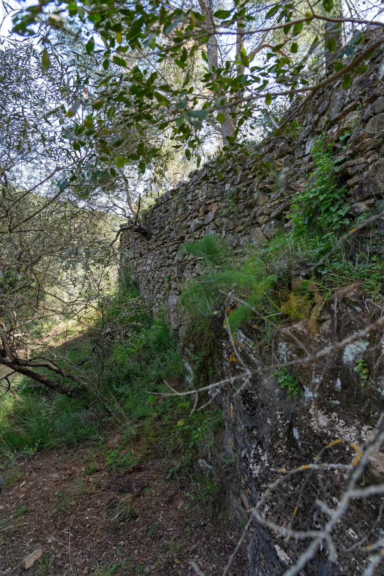 Lagar de La Africana