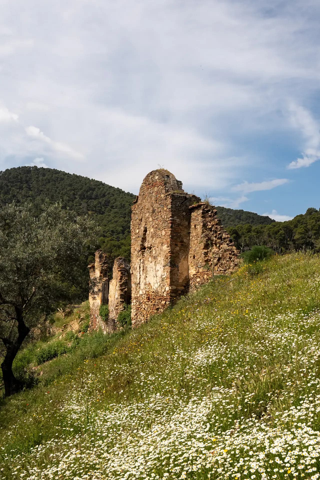 Lagar de Chinchilla