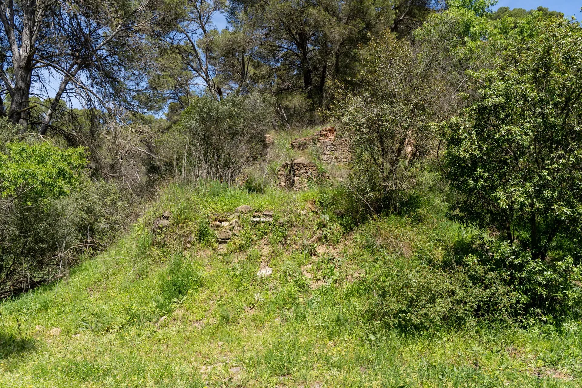 Lagar de Pacheco Bajo