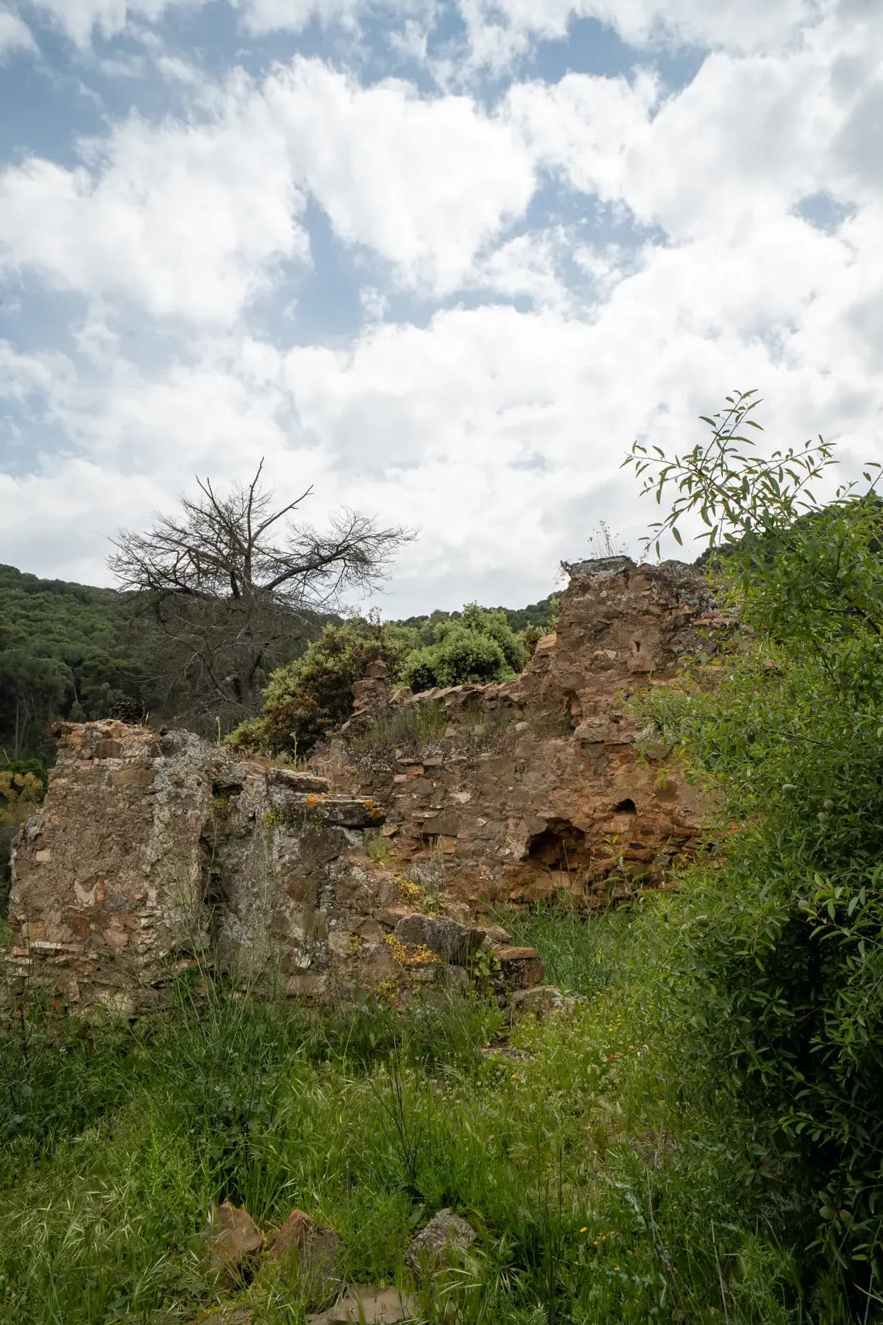Lagar de Pocopán