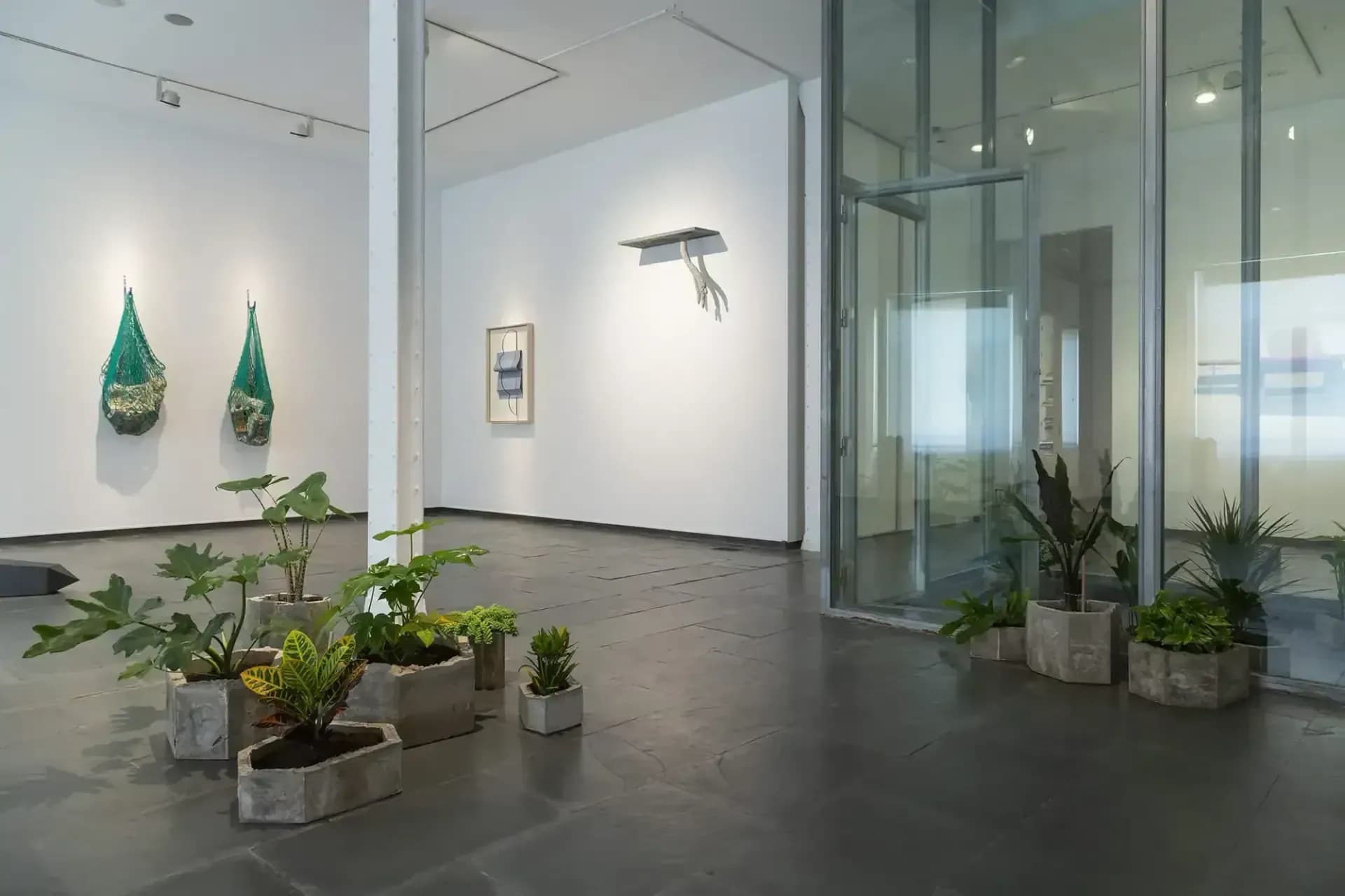 Galería de arte Isabel Hurley 