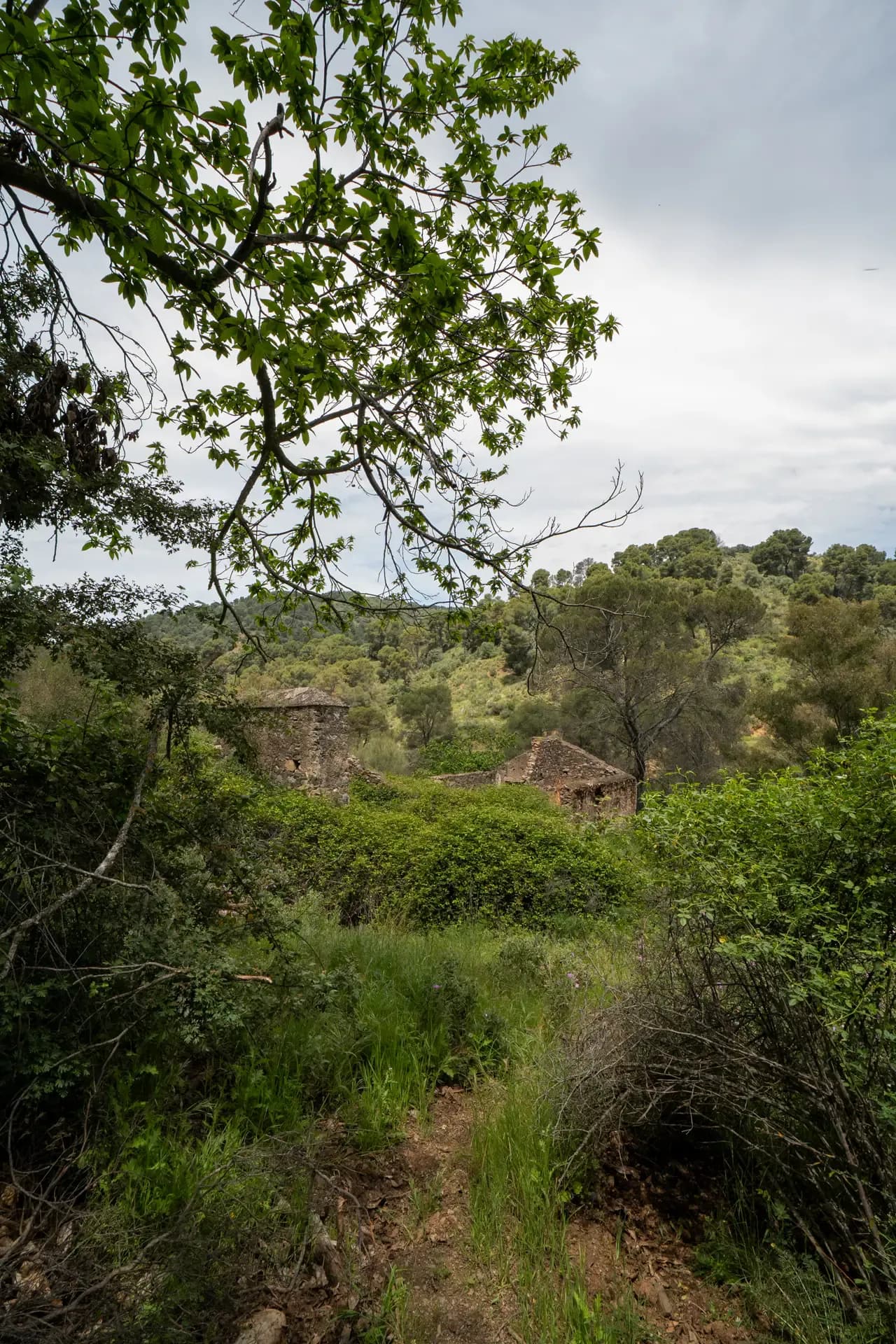 Lagar de Morales