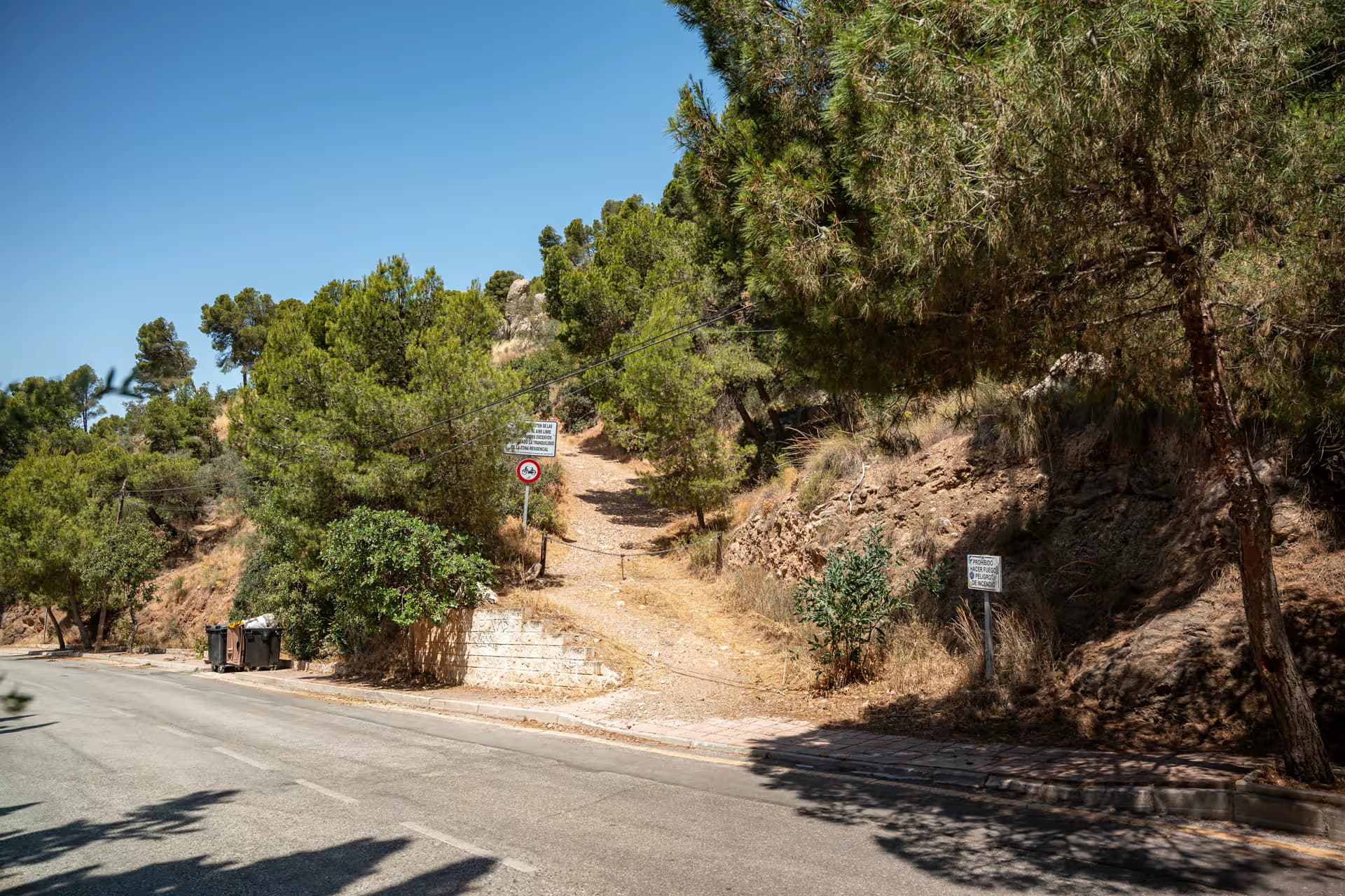 Pinares Nuevo