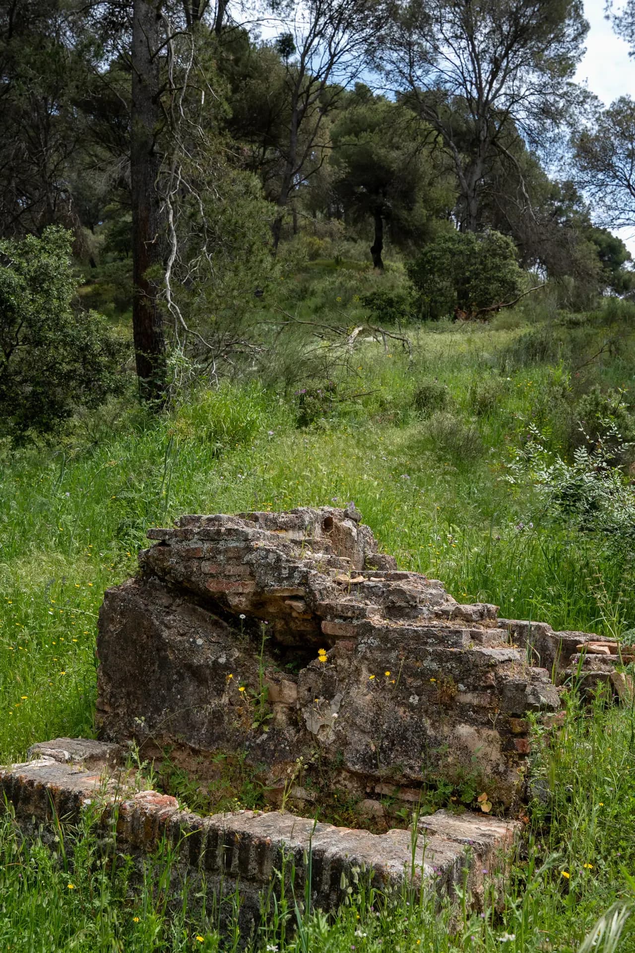 Lagar de Villalba