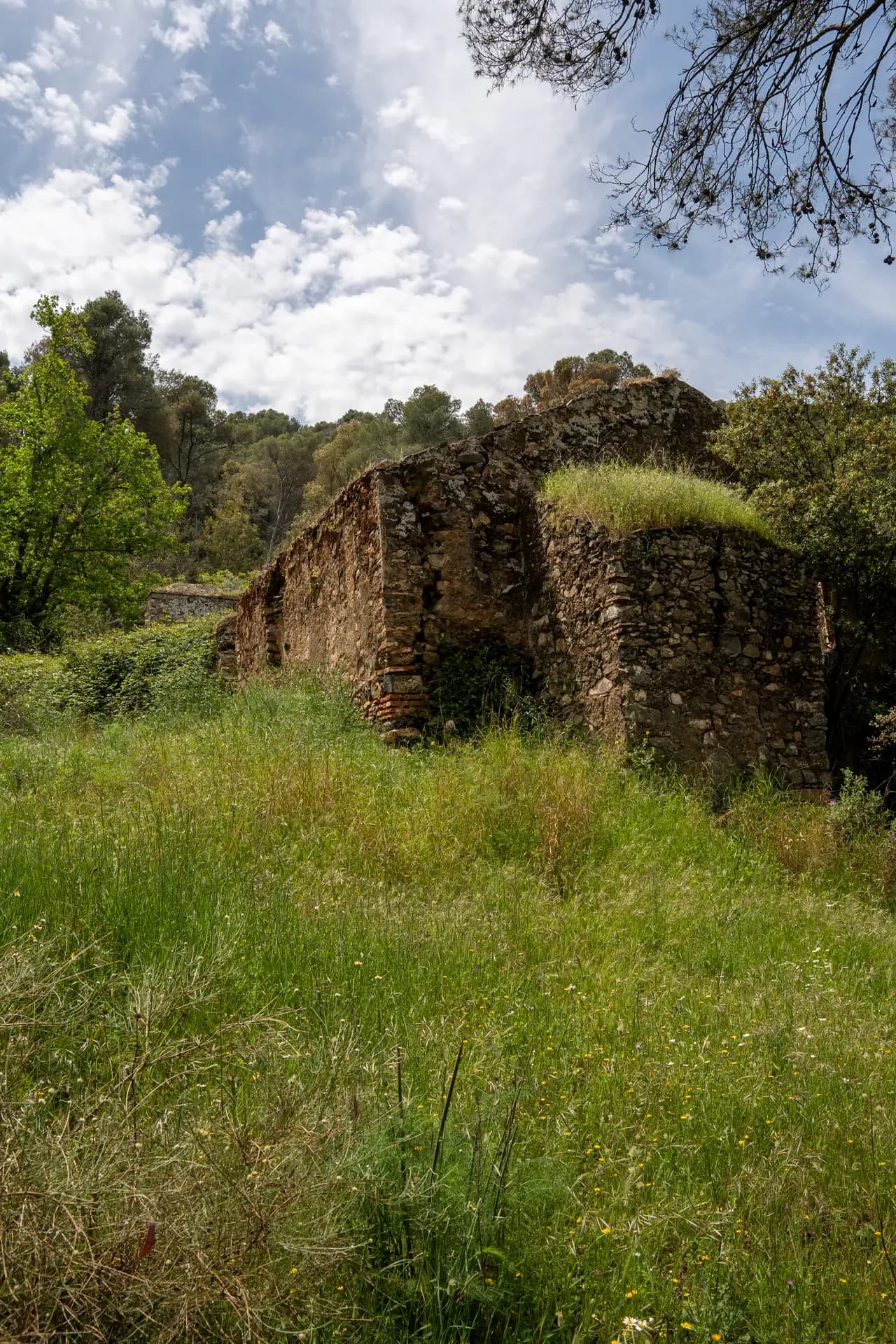 Lagar de La Molineta