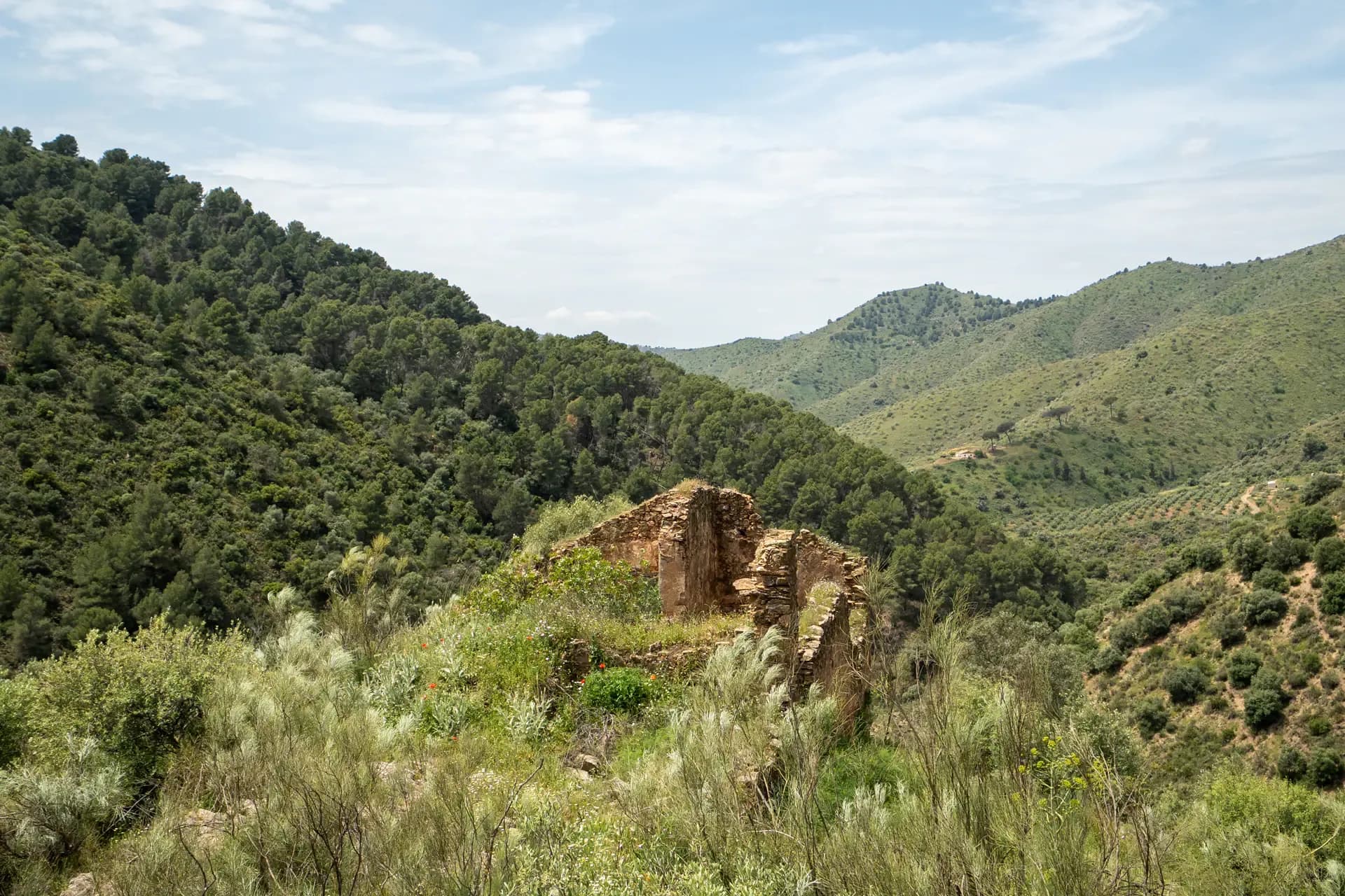 Lagar de Paleto