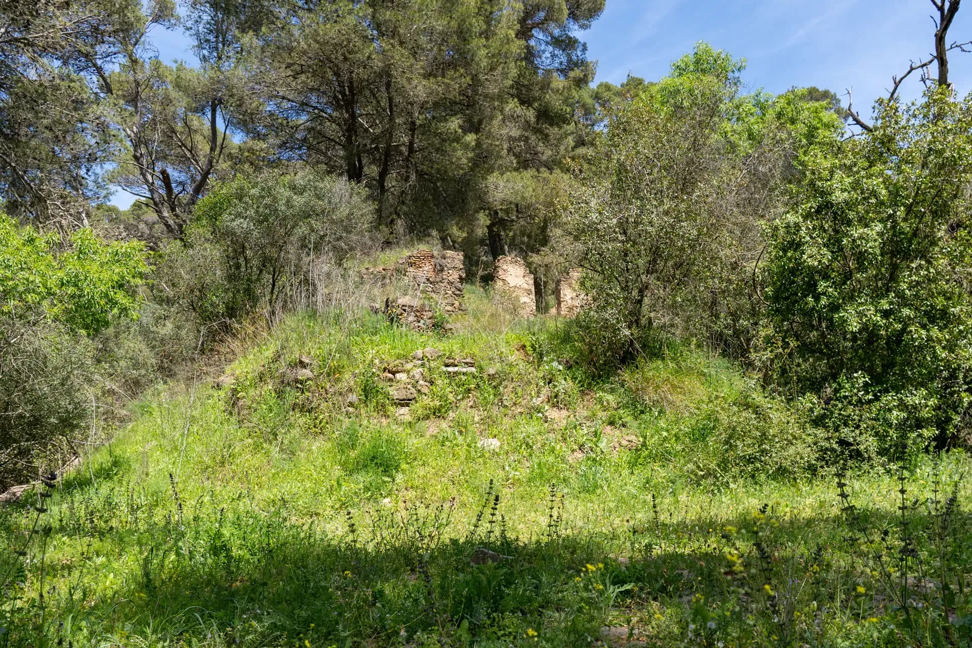 Lagar de Pacheco Bajo