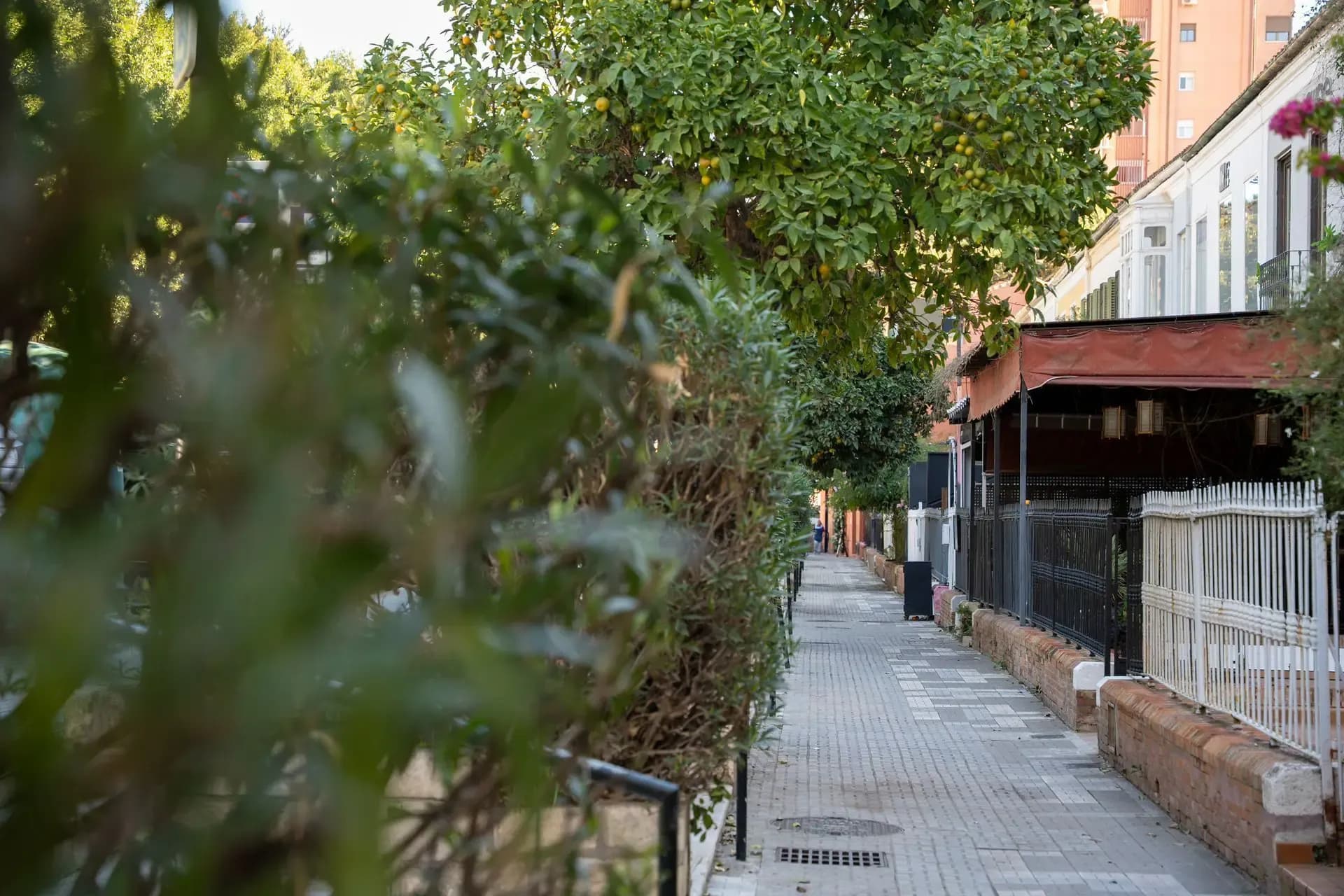 Avenida de Príes y Paseo de Reding