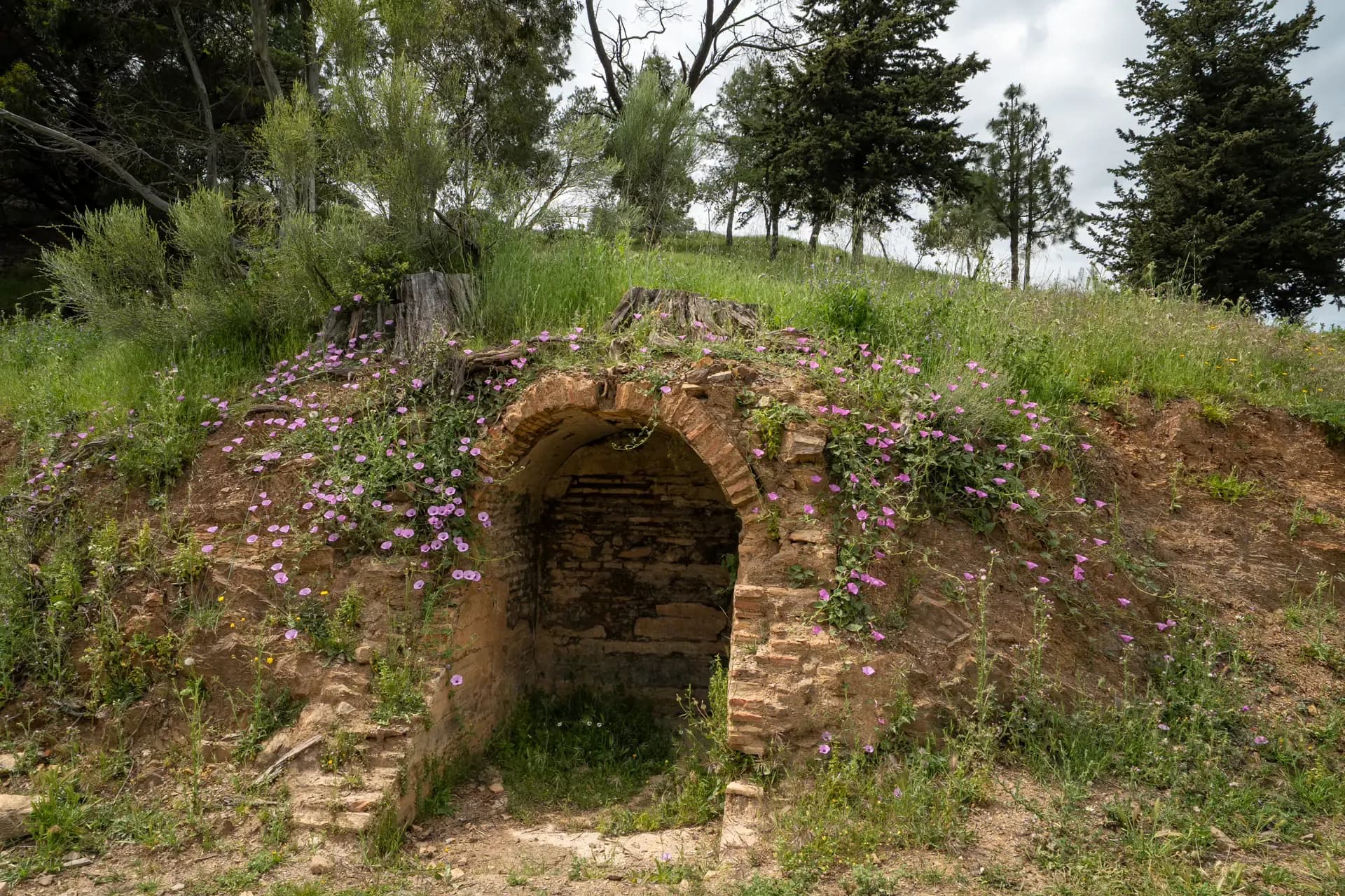 Lagar de Pocopán
