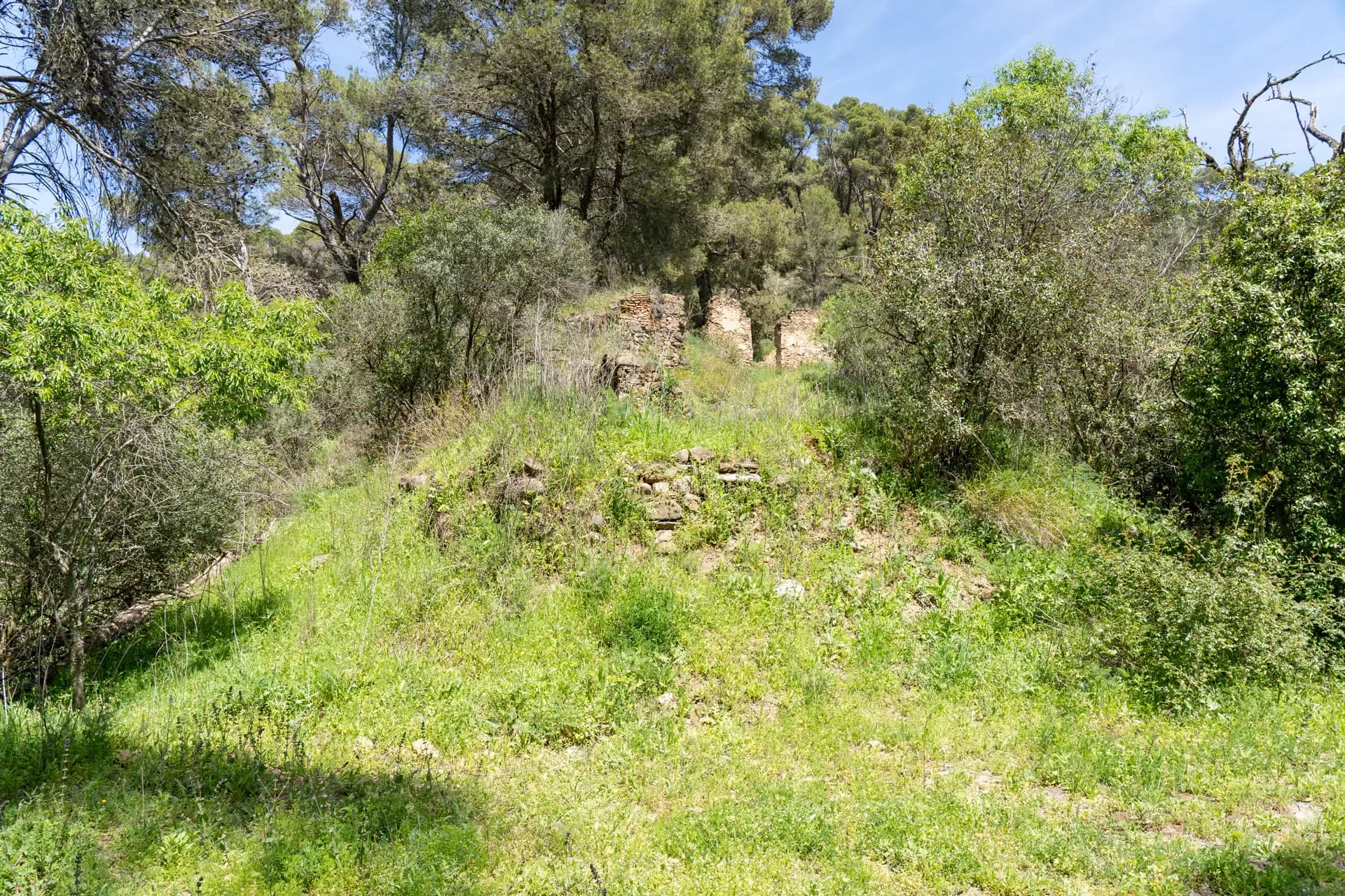 Lagar de Pacheco Bajo