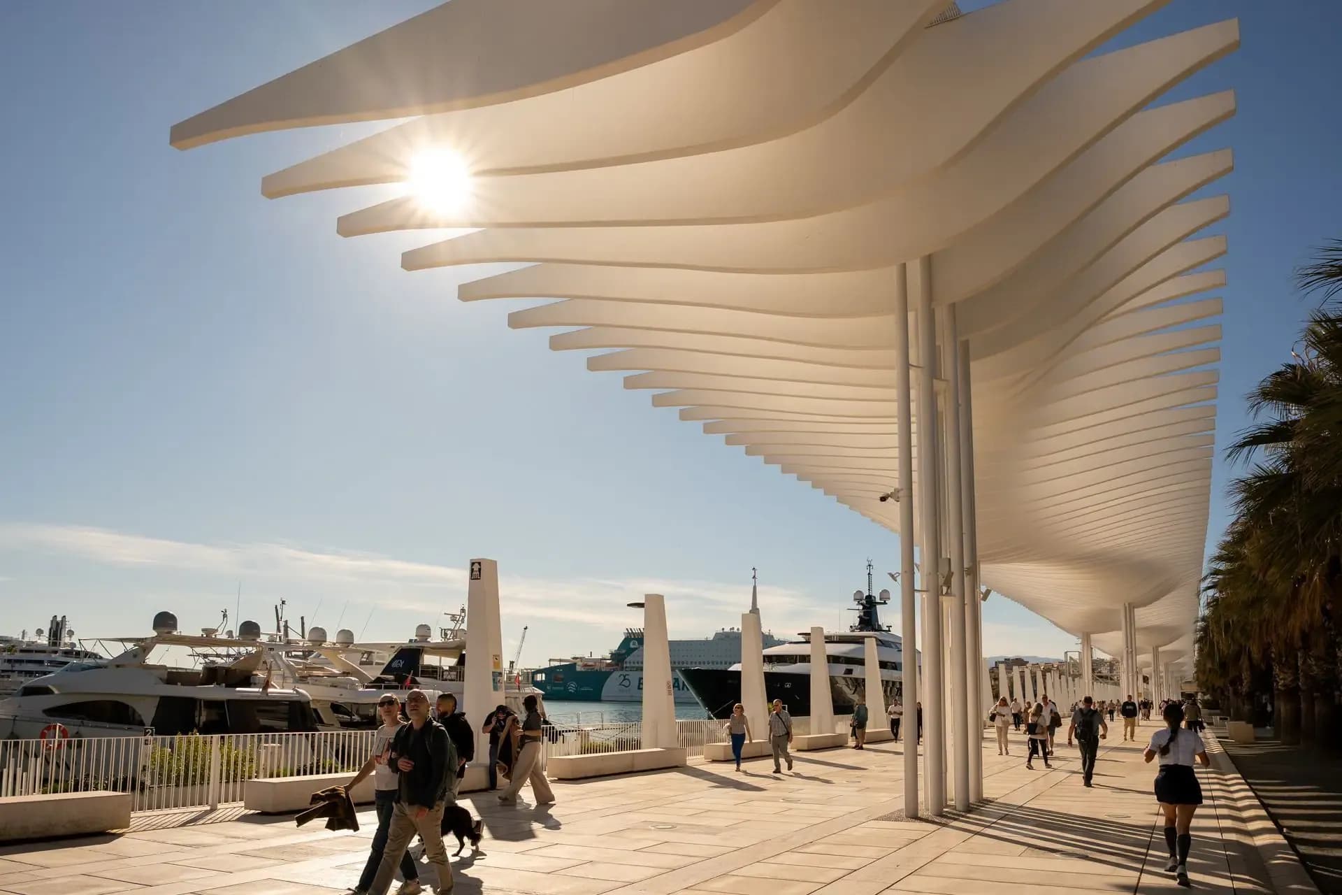 Palmeral de las Sorpresas y Muelle Uno
