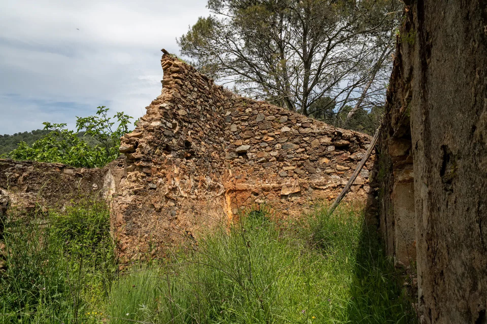 Lagar de La Molineta