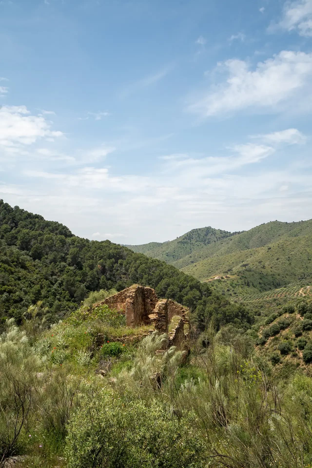 Lagar de Paleto
