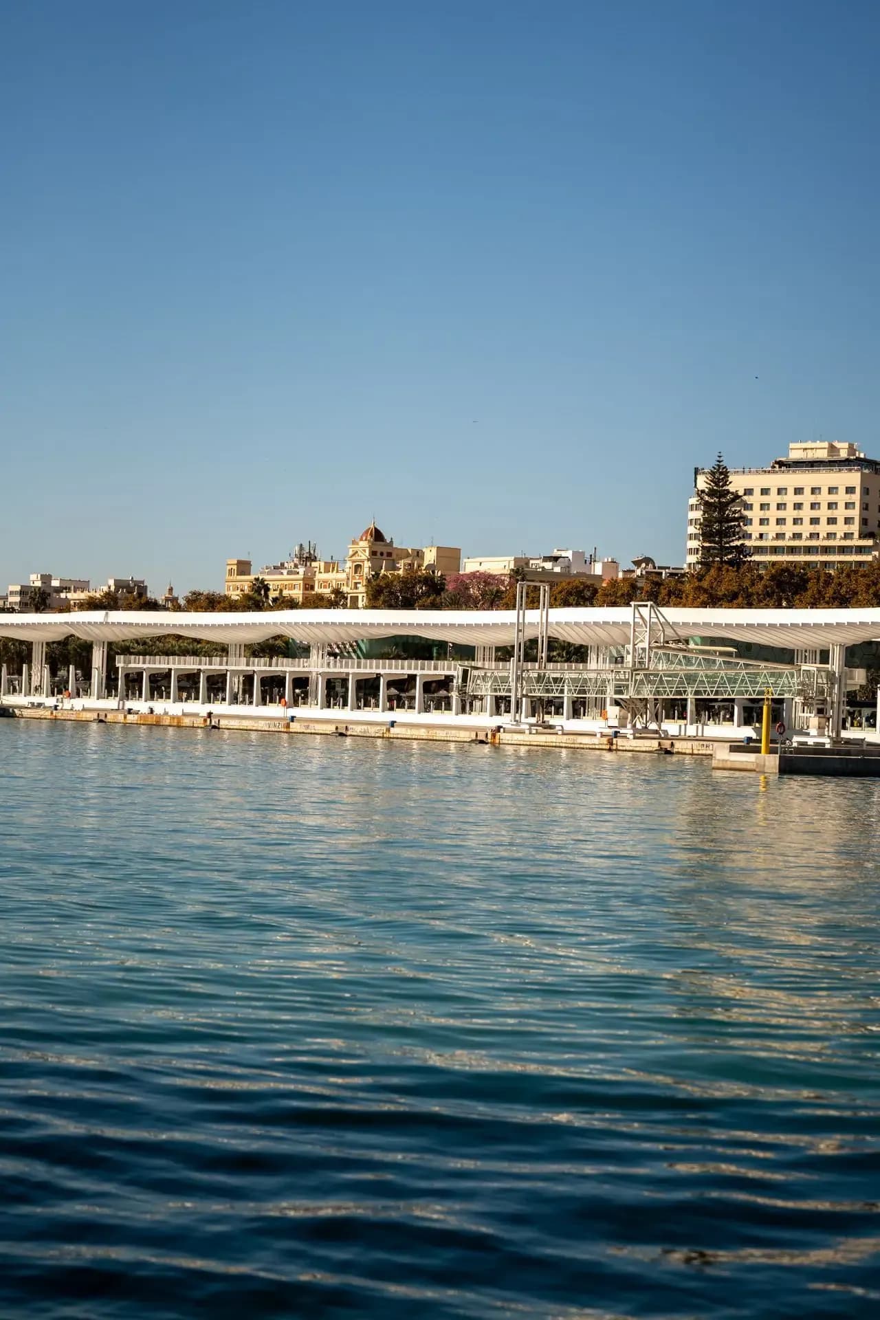 Palmeral de las Sorpresas y Muelle Uno