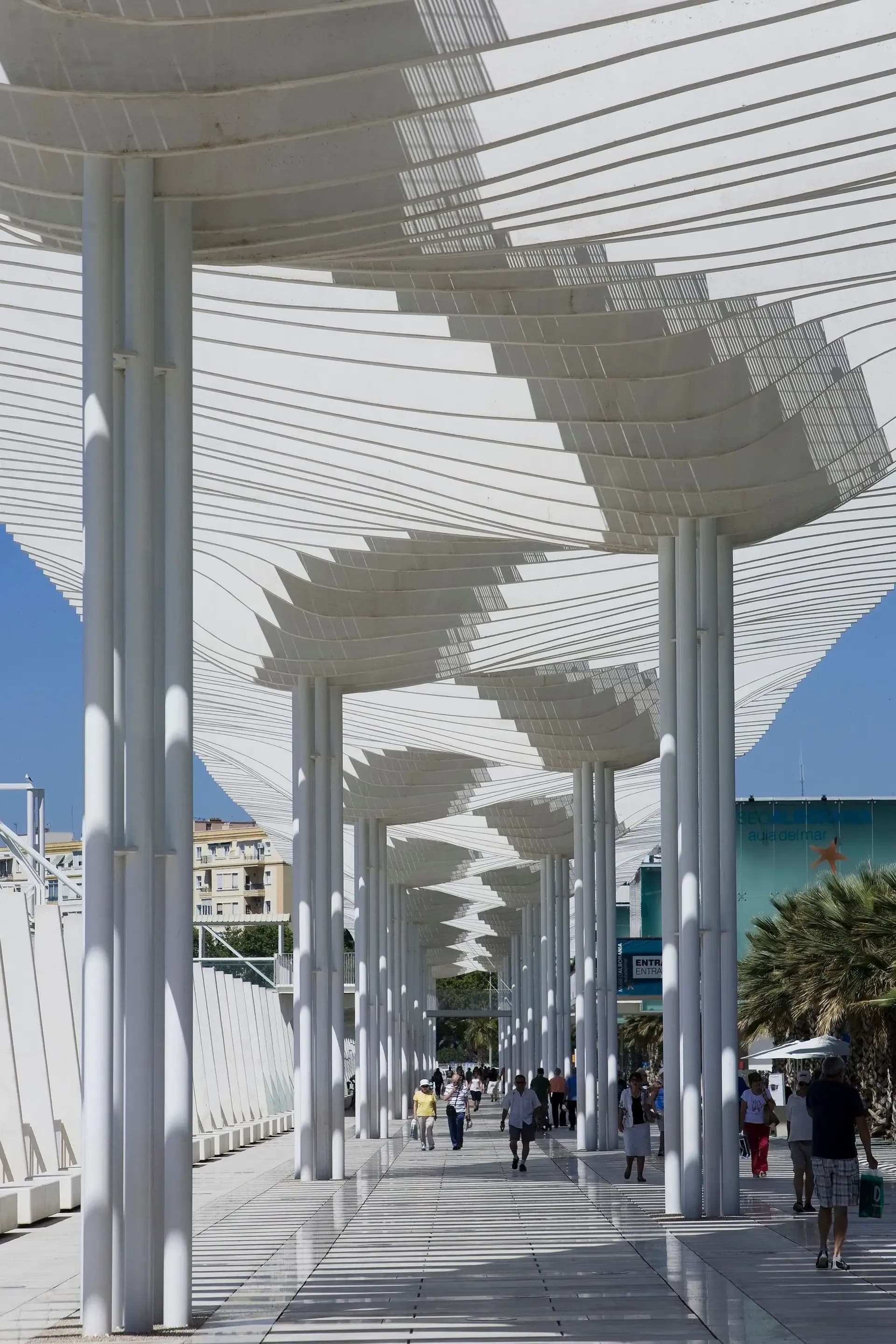 Palmeral de las Sorpresas y Muelle Uno