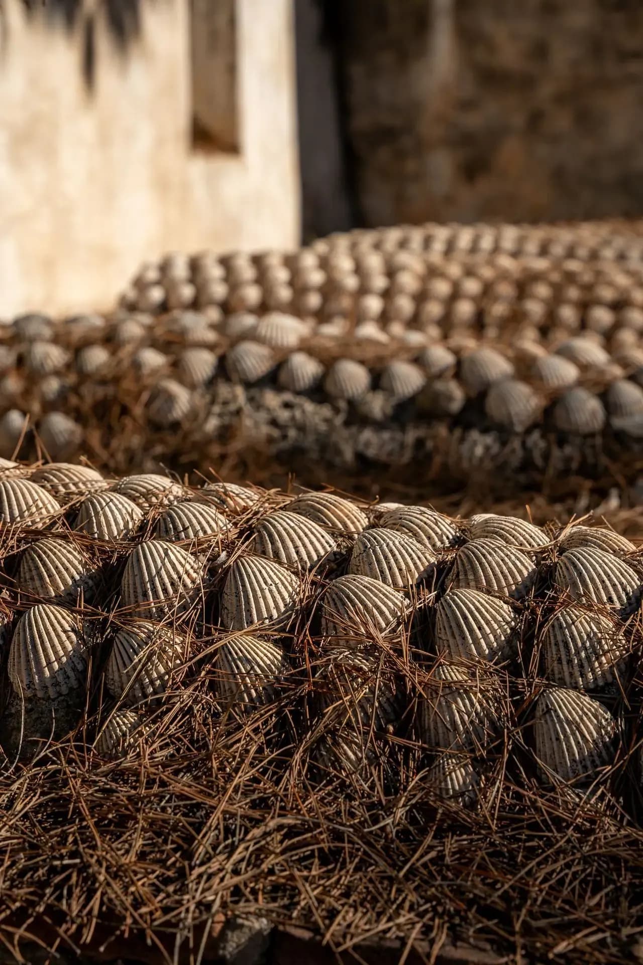 Cementerio Inglés de Málaga