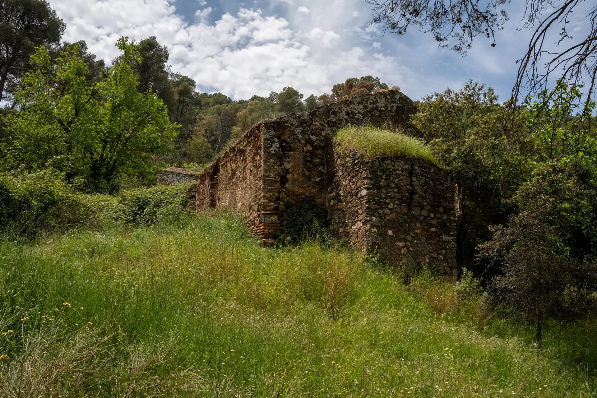 Lagar de La Molineta