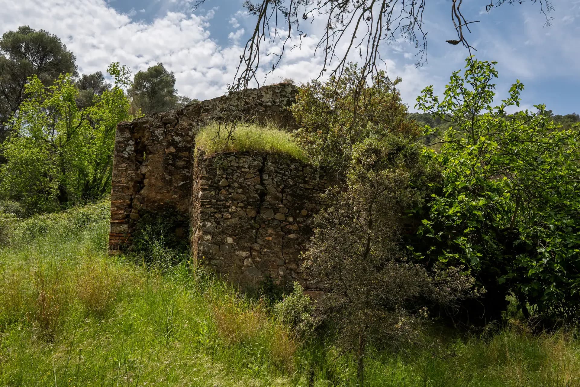 Lagar de La Molineta